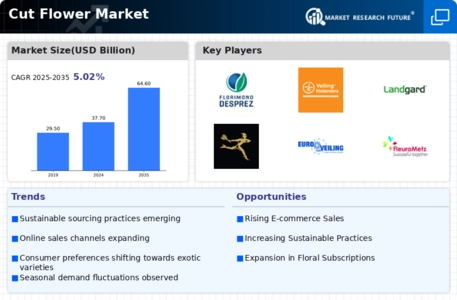 Cut Flower Market Infographic