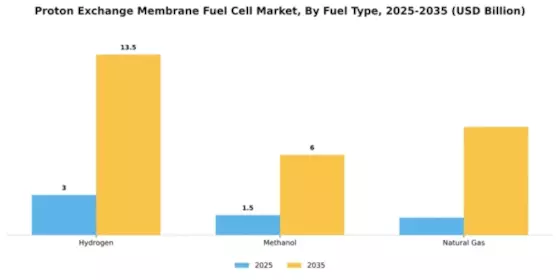Proton Exchange Membrane Fuel Cell Market Segment Image 3