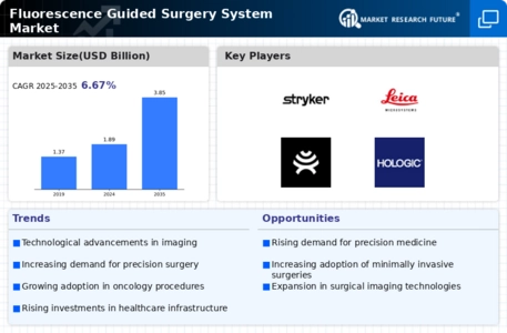 Fluorescence Guided Surgery System Market Infographic
