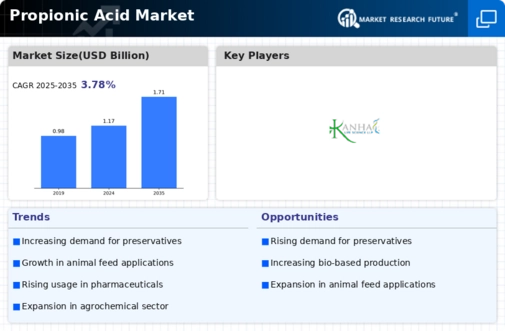 Propionic Acid Market Infographic