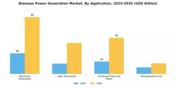 Biomass Power Generation Market Segment Image 0