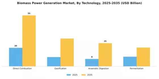 Biomass Power Generation Market Segment Image 3