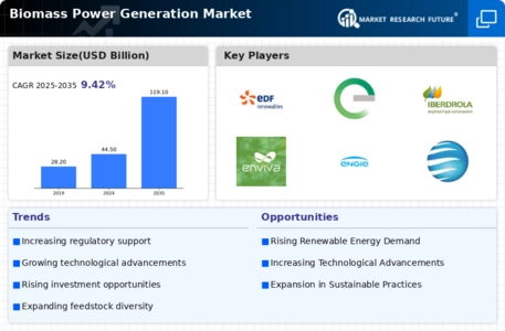 Biomass Power Generation Market Infographic
