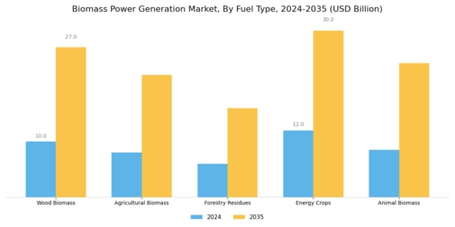 Biomass Power Generation Market Segment Image 0
