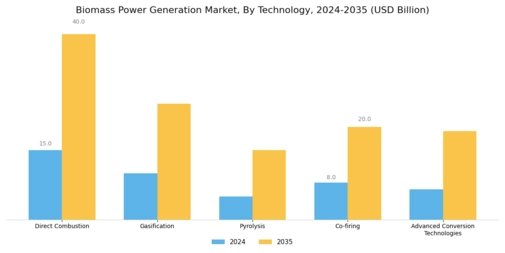 Biomass Power Generation Market Segment Image 1