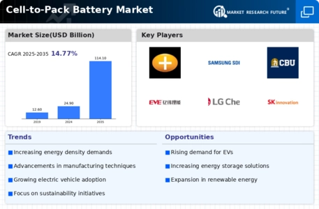 Cel-to-Pack Battery Market Infographic