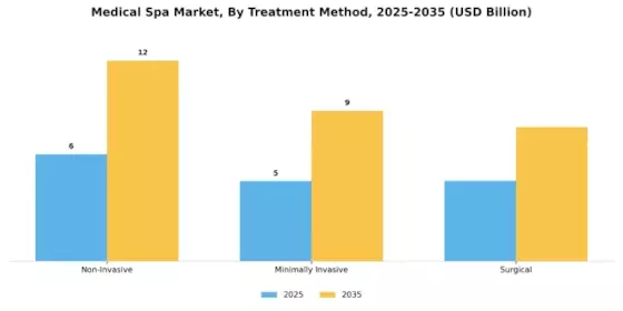 Medical Spa Market Segment Image 3