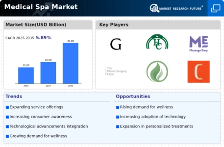 Medical Spa Market Infographic