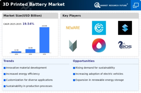 3D Printed Battery Market Infographic