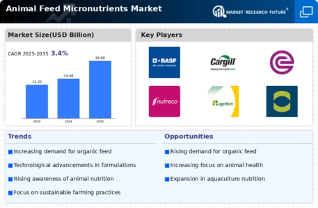 Animal Feed Micronutrients Market Infographic