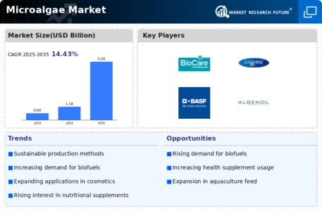 Microalgae Market Infographic