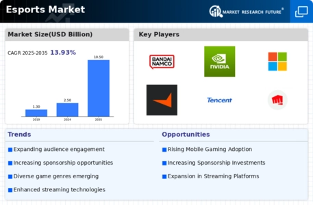 E Sports Market Infographic