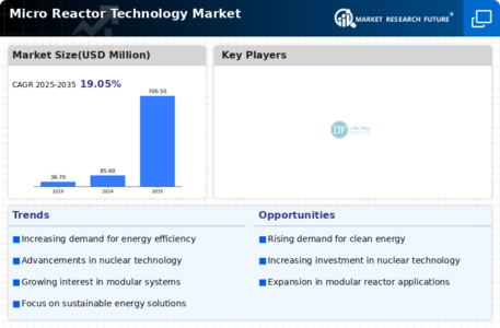 Micro reactor technology Market Infographic