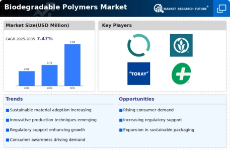 Biodegradable Polymer Market Infographic