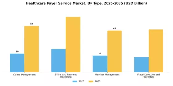 Healthcare Payer Services Market Segment Image 0