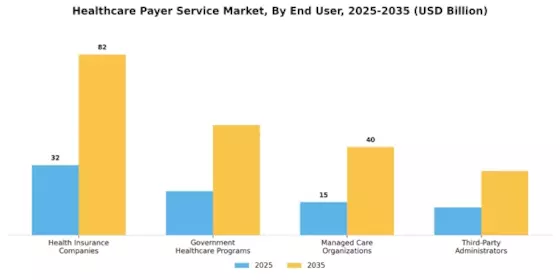 Healthcare Payer Services Market Segment Image 1