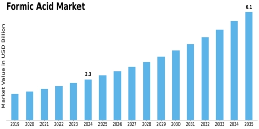 Formic Acid Market Size