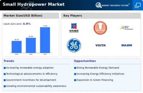 Small hydropower market Infographic