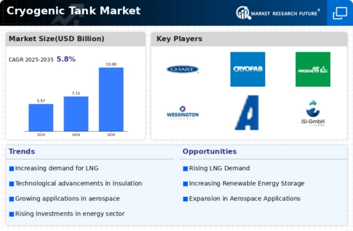 Global Cryogenic Tanks Market Infographic