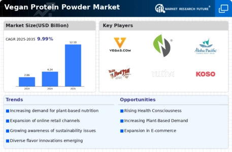 Vegan Protein Powder Market Infographic