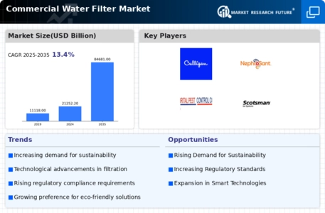 Commercial Water Filter Market Infographic