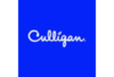 Commercial Water Filter Market key player