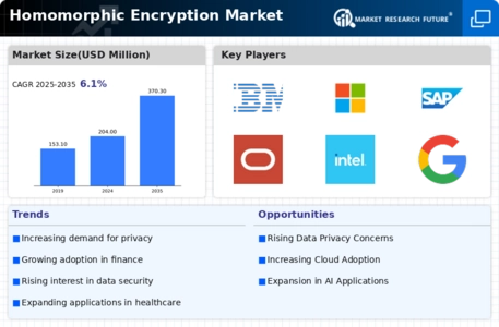 Homomorphic Encryption Market Infographic