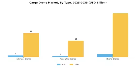 Cargo Drones Market Segment Image 0