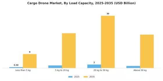 Cargo Drones Market Segment Image 1