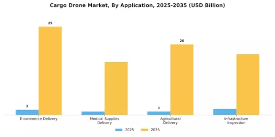 Cargo Drones Market Segment Image 2