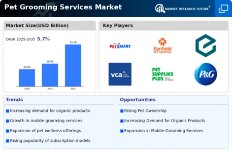 Pet Grooming Services Global Market Infographic