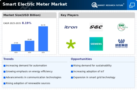 Smart Electric Meter Market Infographic