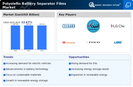 Polyolefin Battery Separator Films Market Infographic
