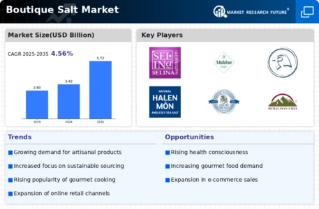 Boutique salt Market Infographic