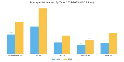 Boutique salt Market Segment Image 0