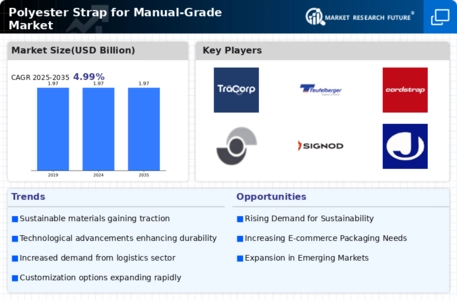 Polyester Strap For Manual Grade Market Infographic