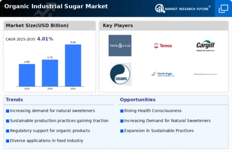 Organic Industrial Sugar Market Infographic