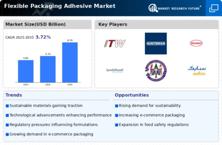 Flexible packaging adhesive Market Infographic