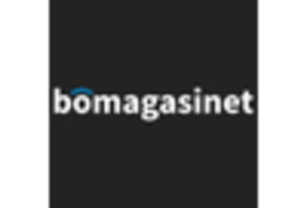 Static Crane Market key player