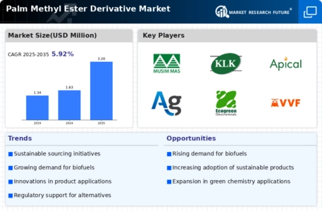 Palm Methyl Ester Derivative Market Infographic