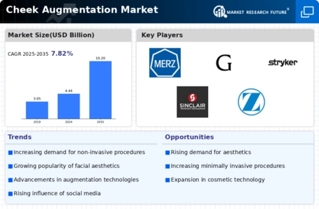 Cheek Augmentation Market Infographic