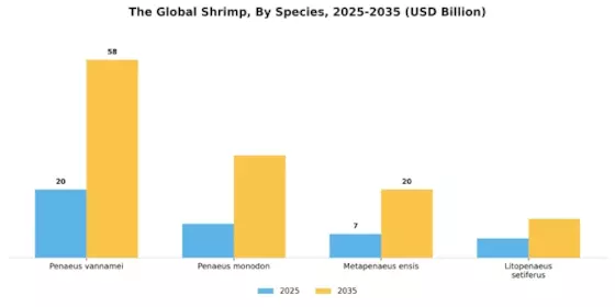 Shrimp Market Segment Image 0