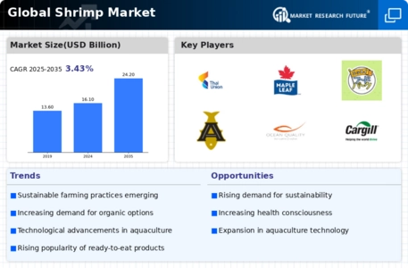 Shrimp Market Infographic