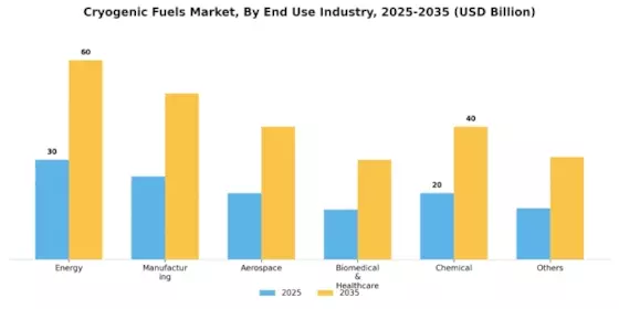 Cryogenic Fuels Market Segment Image 1