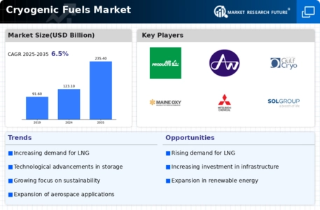 Cryogenic Fuels Market Infographic