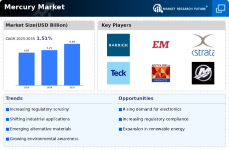 Mercury Market Infographic