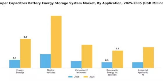 Super Capacitors Battery Energy Storage System Market Segment Image 0