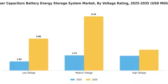 Super Capacitors Battery Energy Storage System Market Segment Image 4