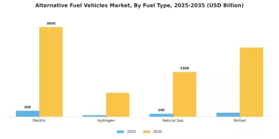 Alternative Fuel Vehicles Market Segment Image 2