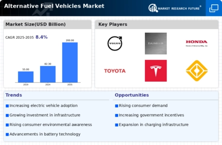 Alternative Fuel Vehicles Market Infographic